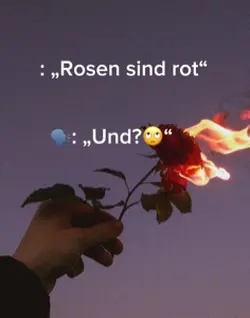Rosen sind rot…