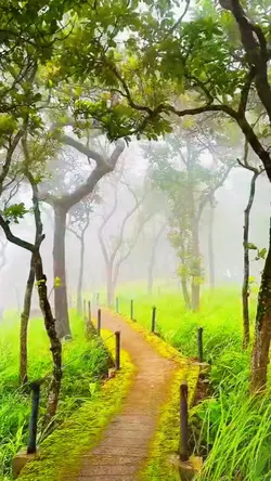 suara hati seorang k