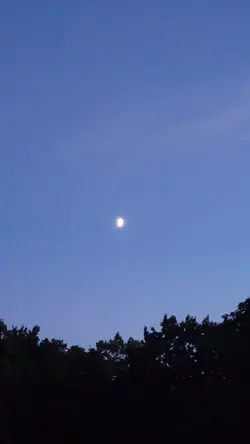 strongest ppl break.