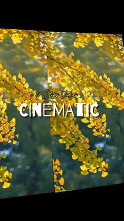 Cinematic 7 Videos
