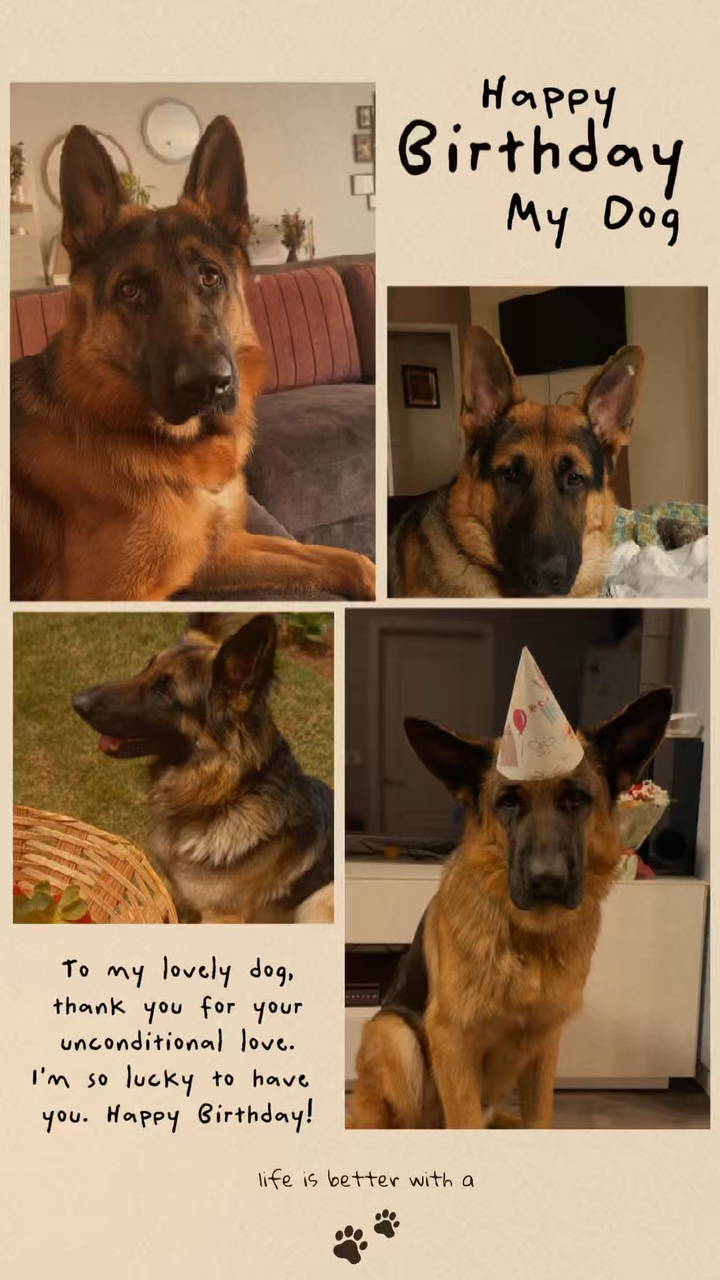 Birthday my dog 