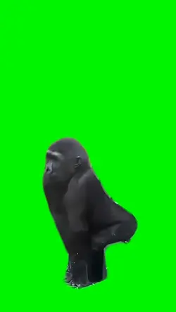 Twerking Monkey Meme