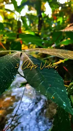 3 Clips Videos 
