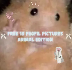 free Profil Pictures