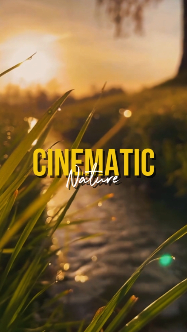 TREND CINEMATIC