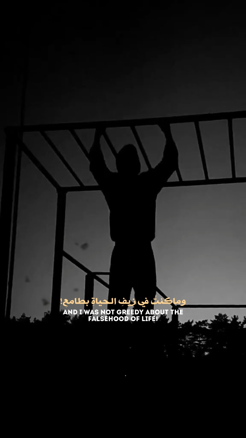 ماكنتفي
