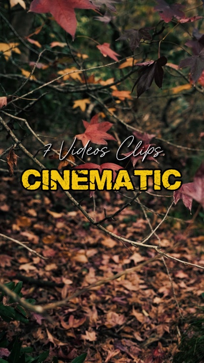 Cinematic 7 Videos 