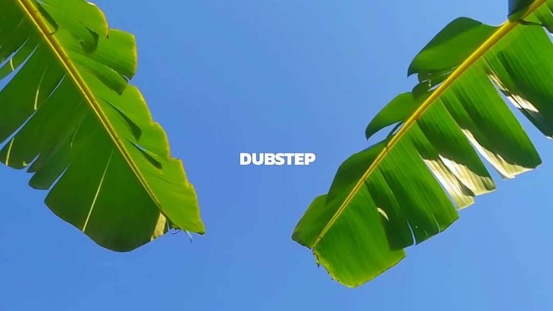 musik dubstep