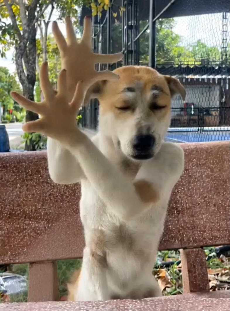 coba saya