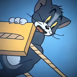 segura essa tom 