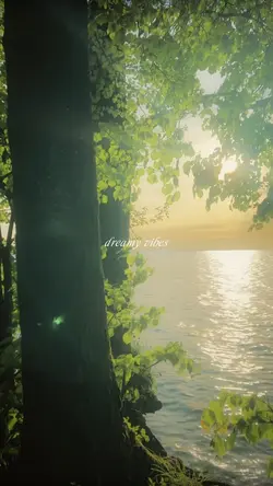 Dreamy Vibes