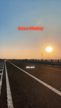 Dance Monkey