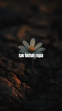 tak butuh rupa