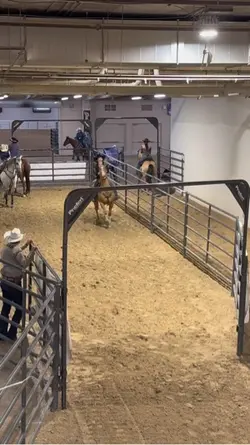 RAW RUN FROM VEGAS 🥹