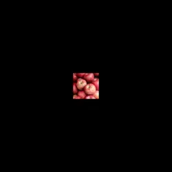 Apple Edit