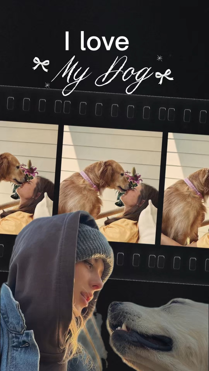 I love my dog