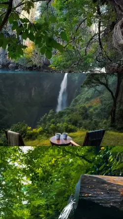 1 video 2 pictures