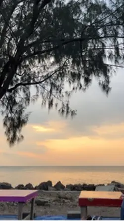 Instrumn LaskrPelngi