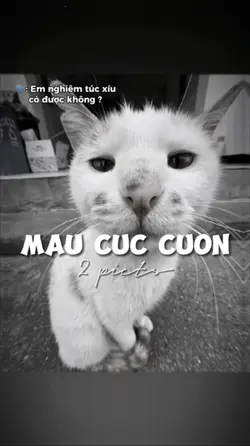 EM NGHIÊM TÚC XÍU