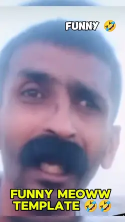 meoww haha