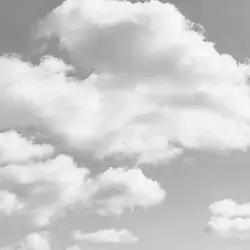 白黒からカラーになるやつ