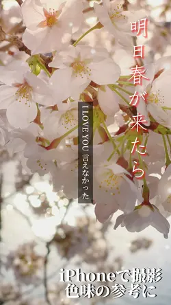 明日春が来たら🌸