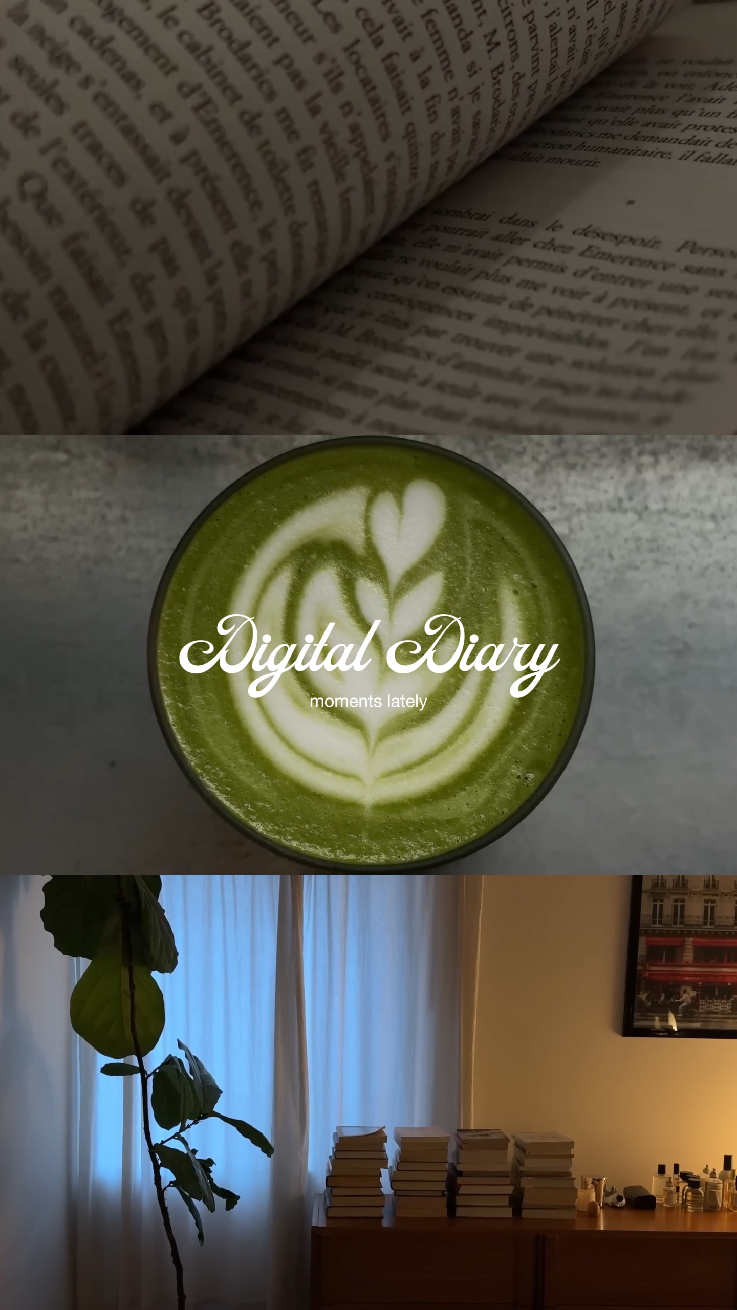 digital diary 