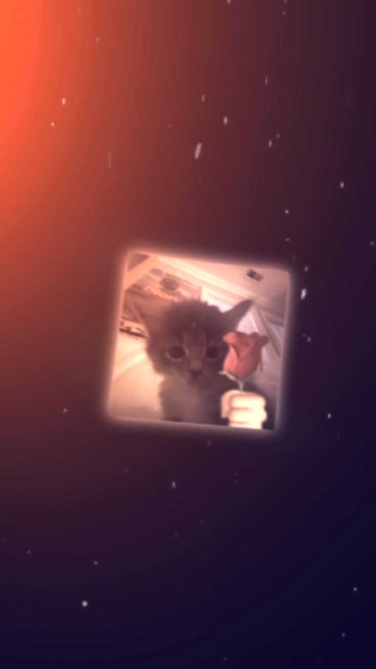 Rover 