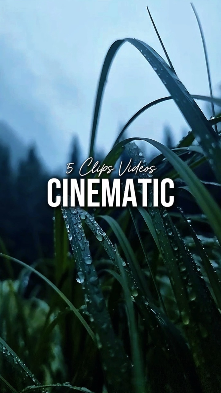 5 Videos Cinematic 