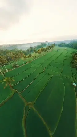 Liwanag sa dilim