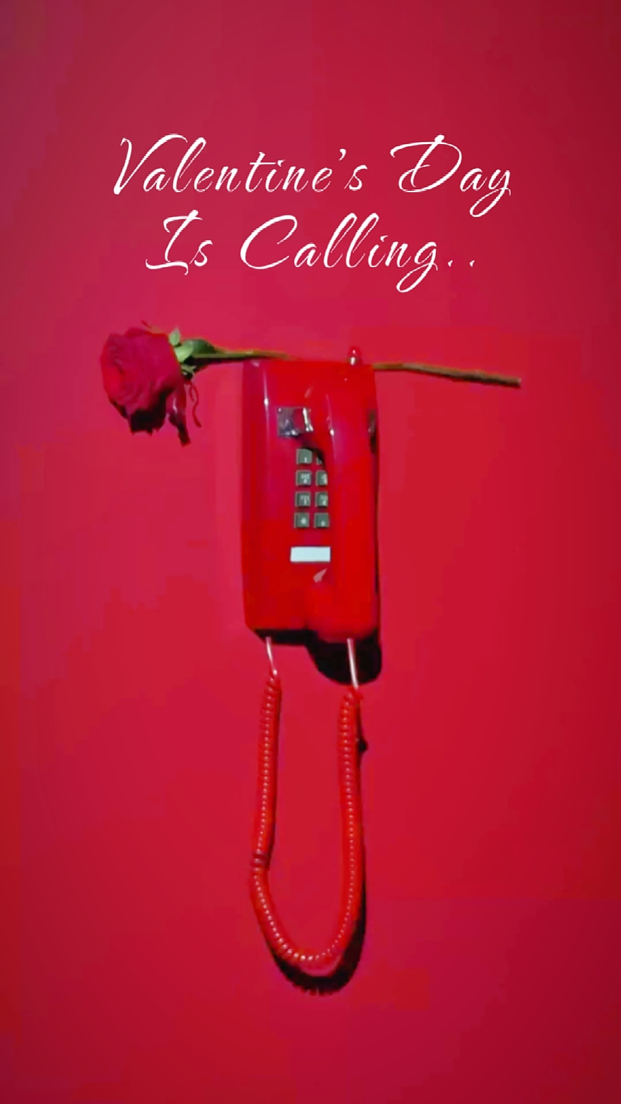 Llamadas de San Valentín
