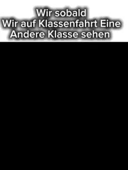 Immer 😼