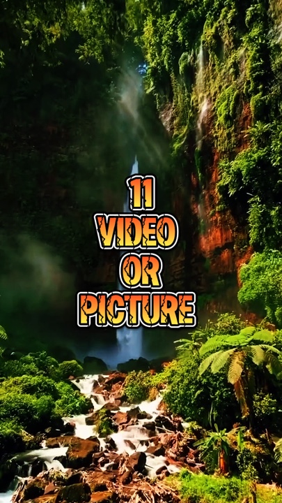 11 video new templat