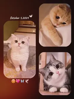 me in 3