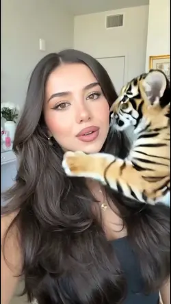 Little tiger.