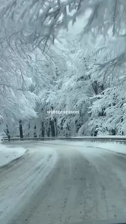 winter season