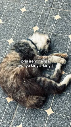 pria tanpa nyonya 