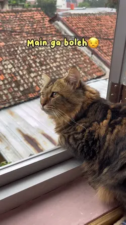 Dikurung aja aku🤯