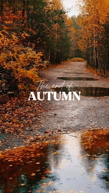 The end of Autumn 