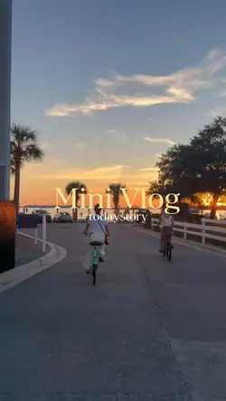 Daily vlog