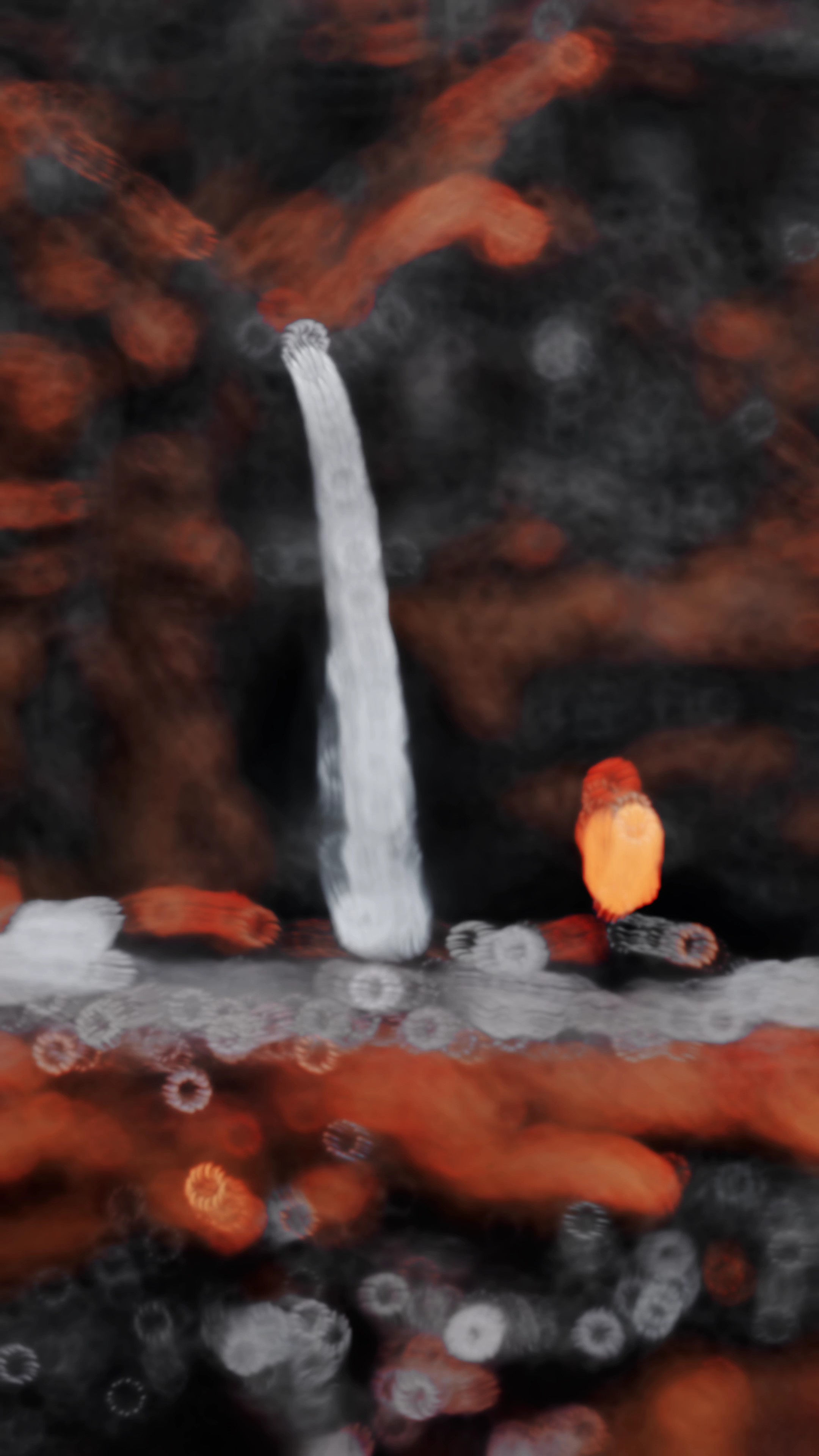 New Slow Motion 