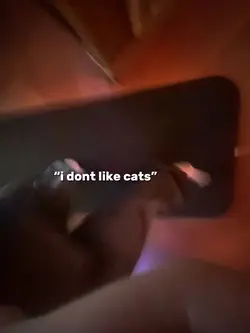i love cats sm