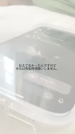 報告