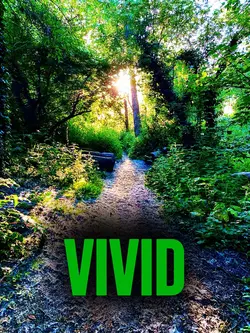 DOUBLE•VIVID 🌳 ☀️🌳