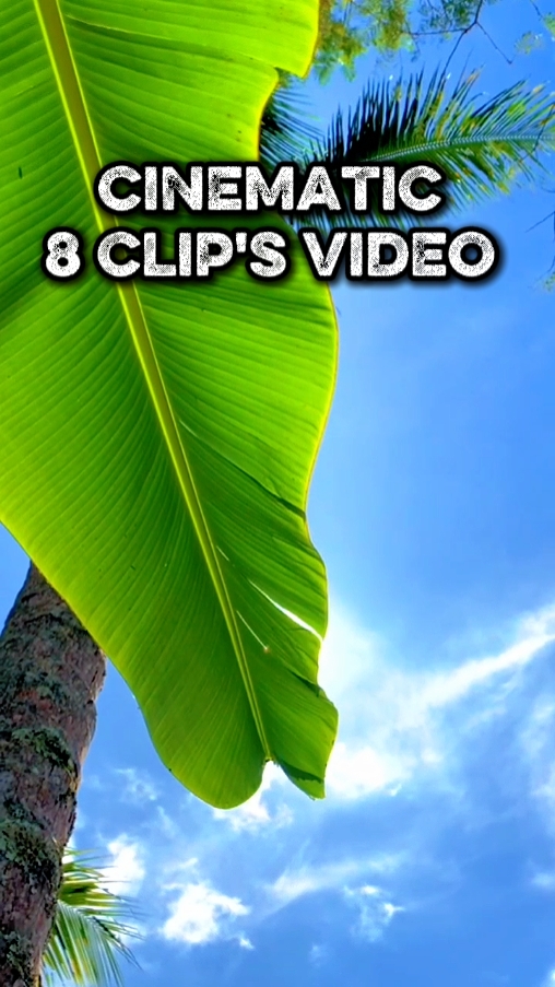 8 Video Cinemático 