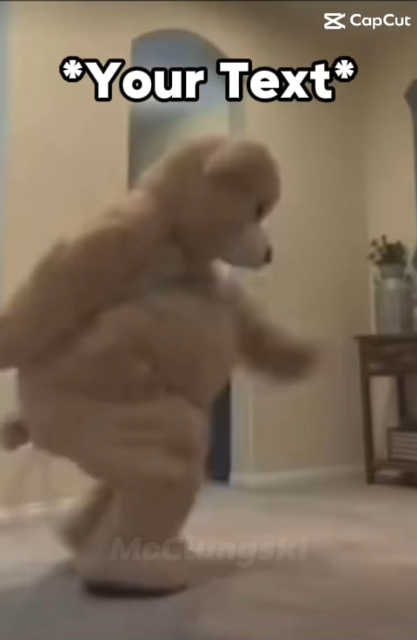 These bears !!!