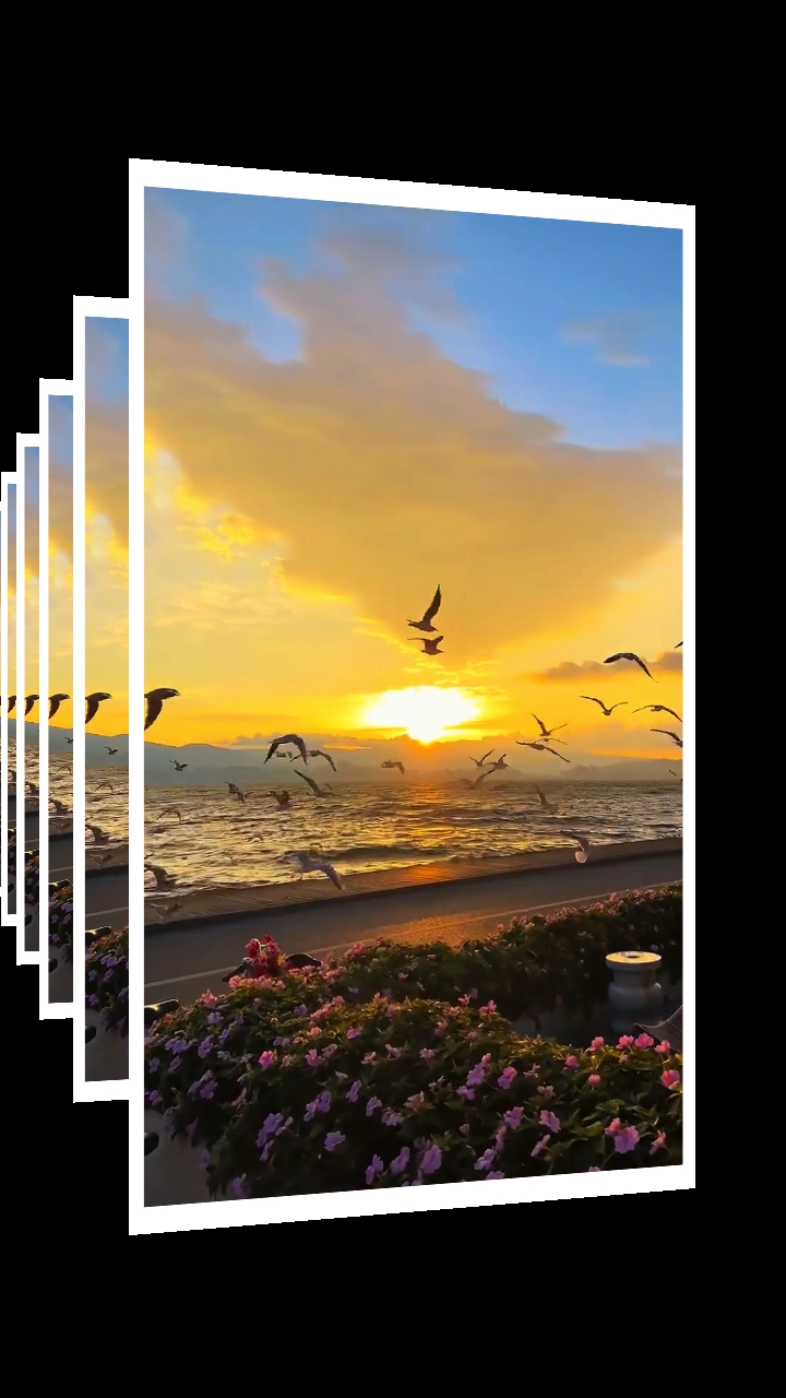 12 video or photo