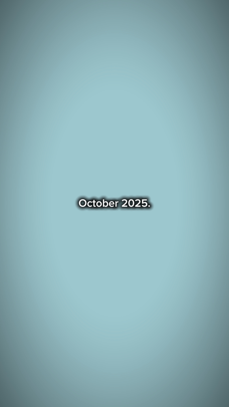  2024 / 2025