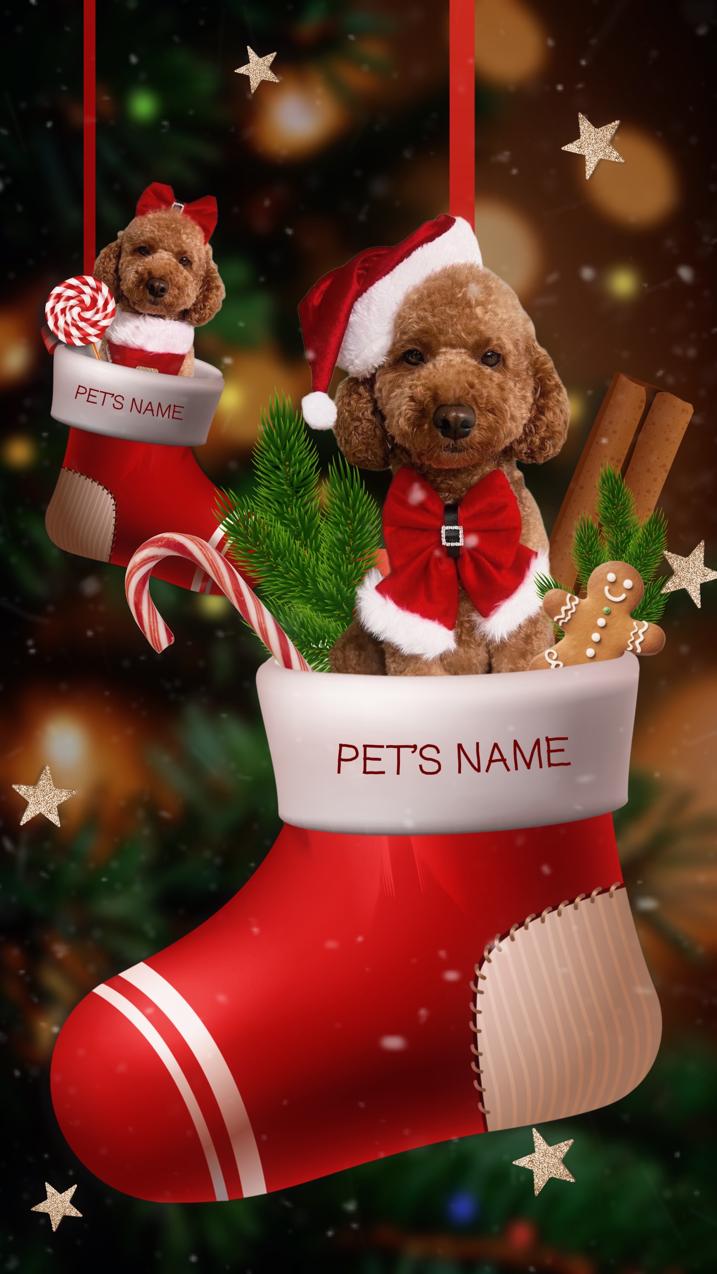 Christmas 2025 - Pet