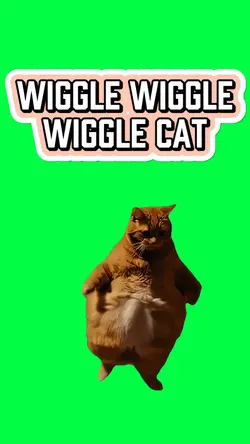 WIGGLE WIGGLE CAT